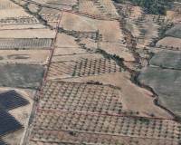 Revente - Land - Jumilla