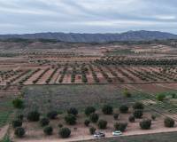 Revente - Land - Jumilla