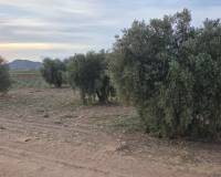 Revente - Land - Jumilla