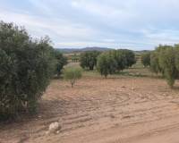 Revente - Land - Jumilla