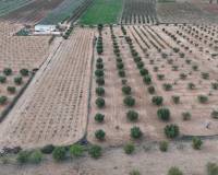 Revente - Land - Jumilla