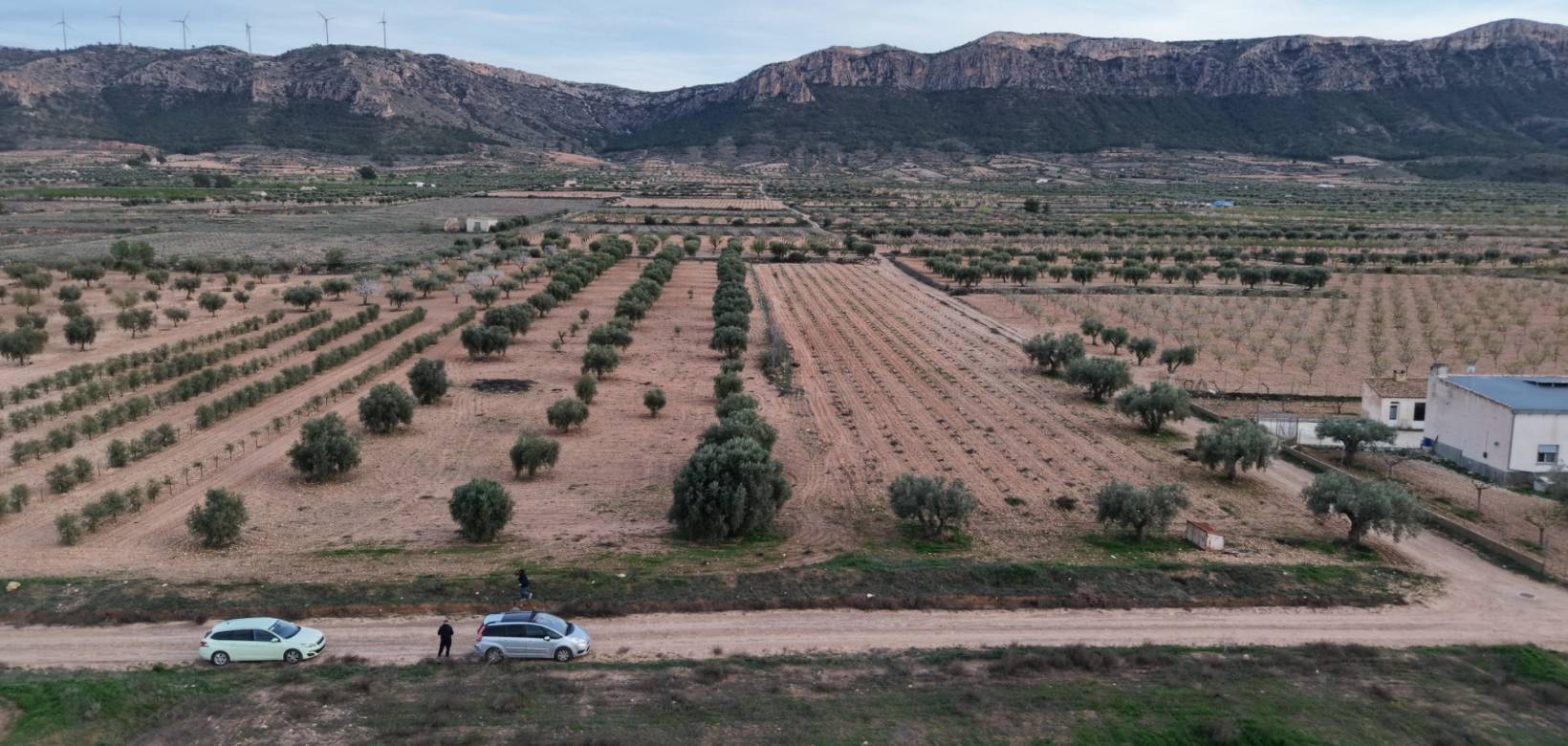 Revente - Land - Jumilla