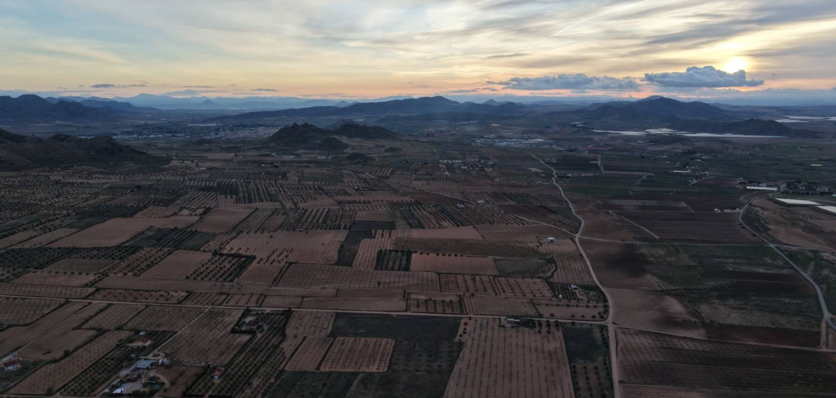 Revente - Land - Jumilla