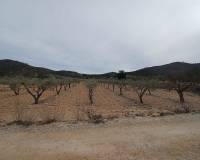 Revente - Land - La Romana