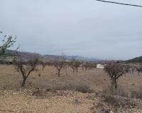 Revente - Land - La Romana