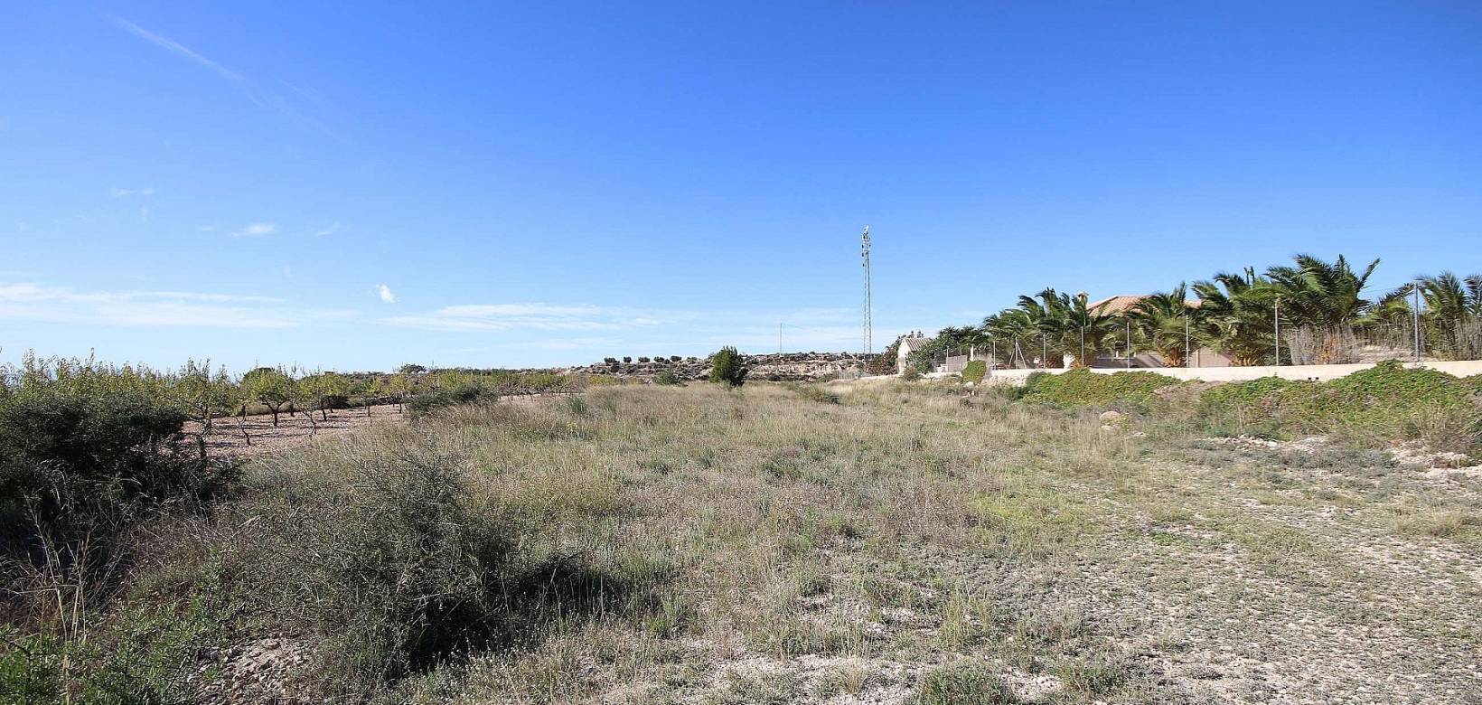 Revente - Land - Macisvenda