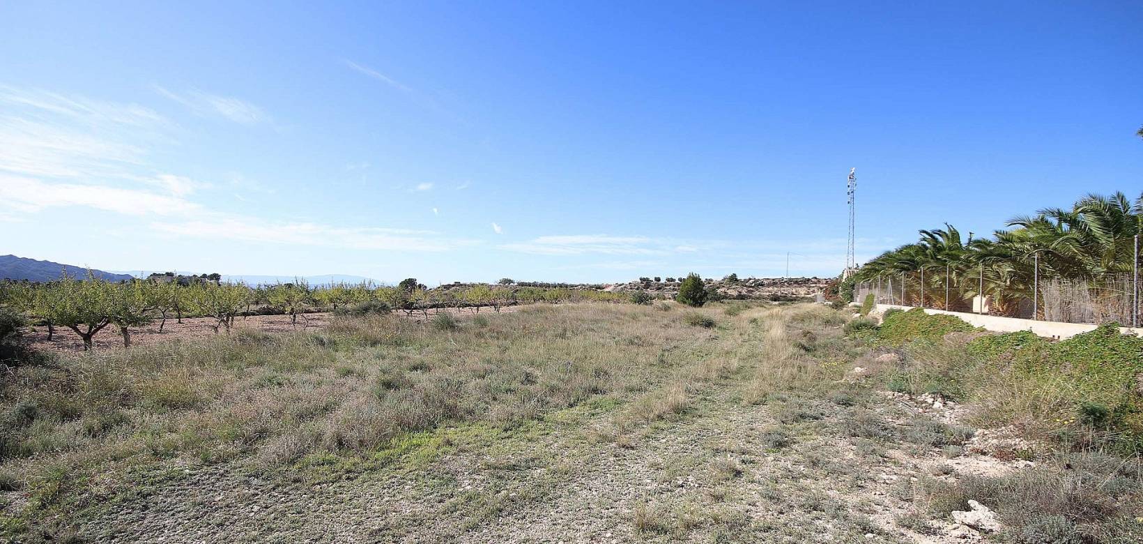 Revente - Land - Macisvenda