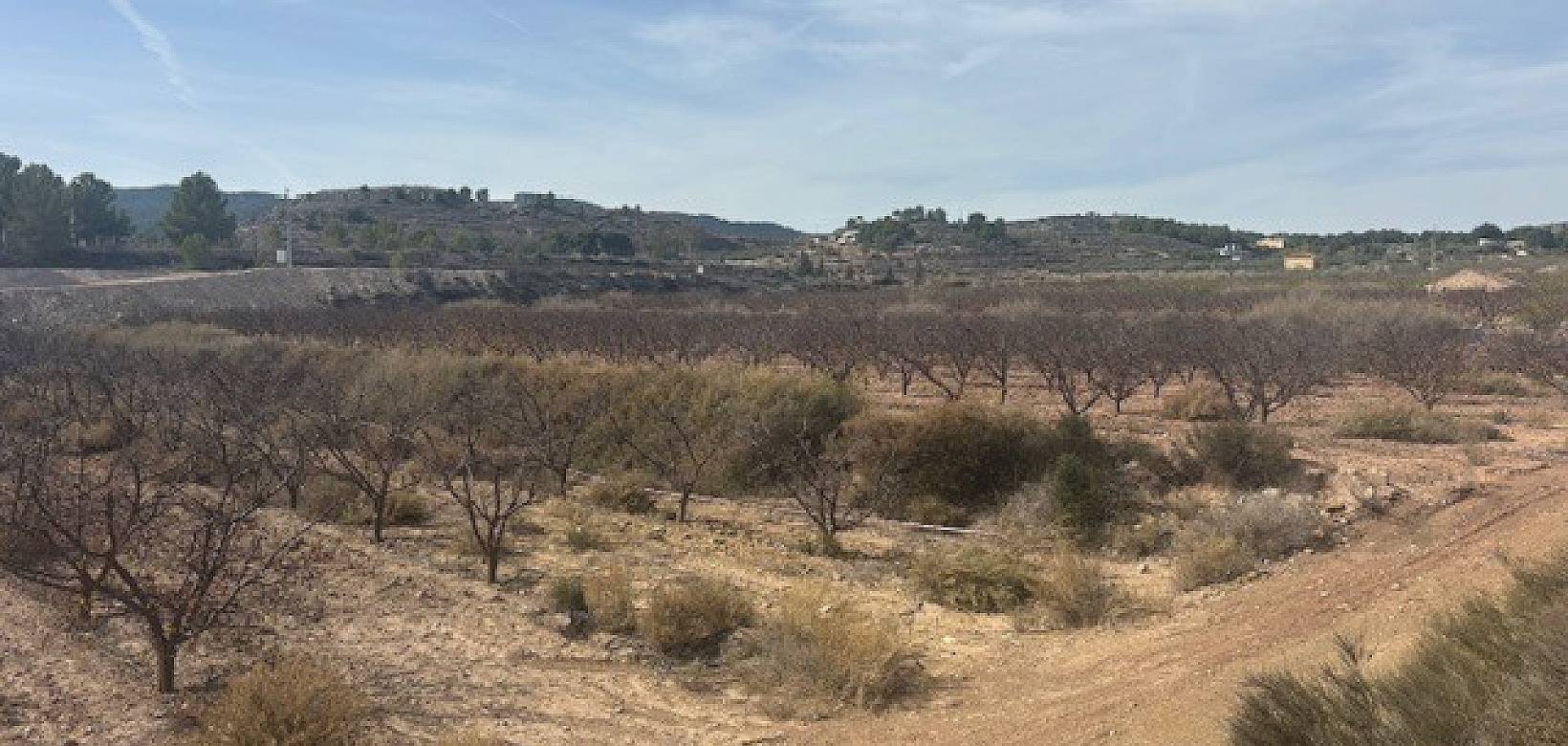 Revente - Land - Monovar