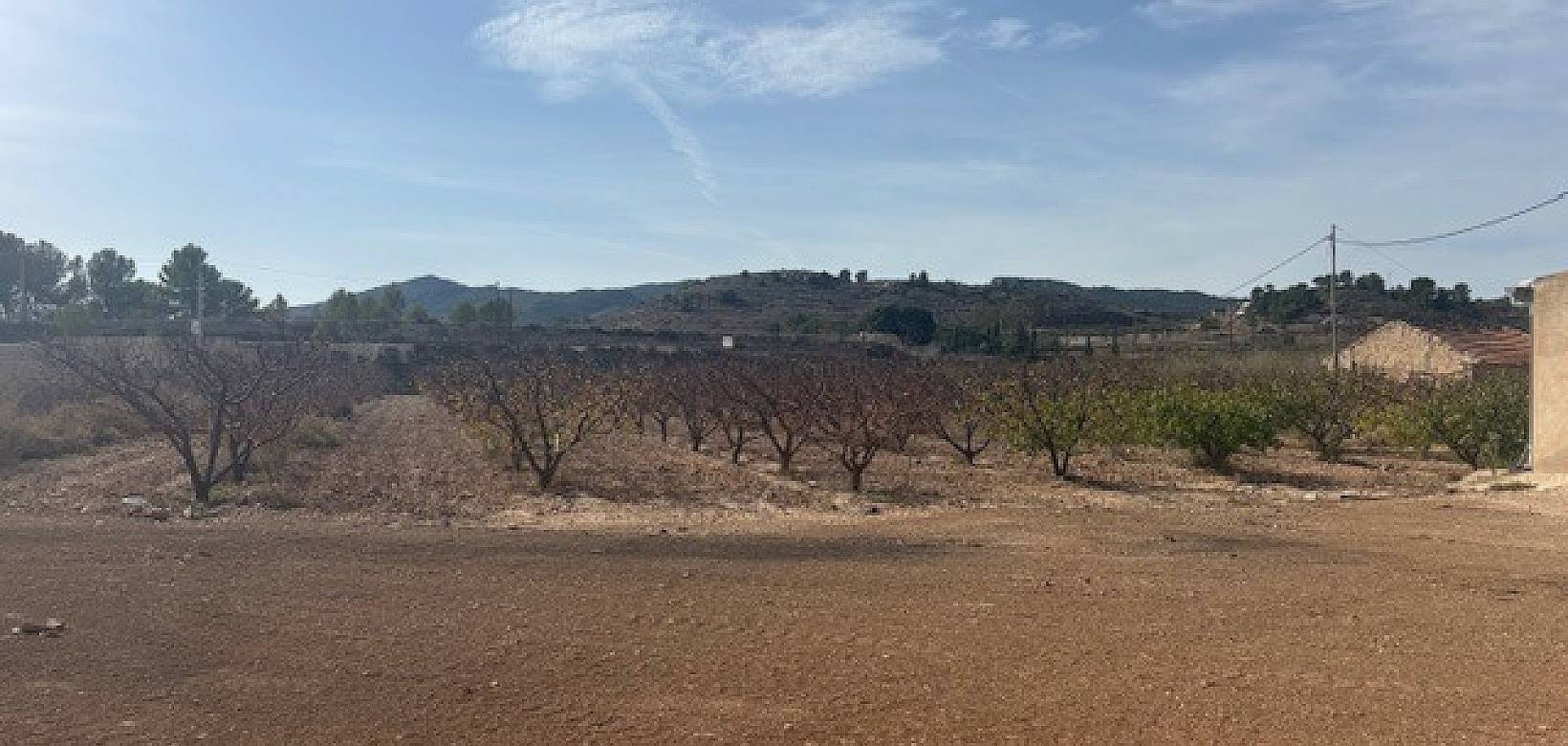 Revente - Land - Monovar