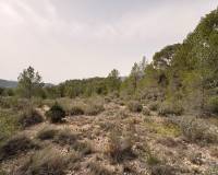 Revente - Land - Petrer