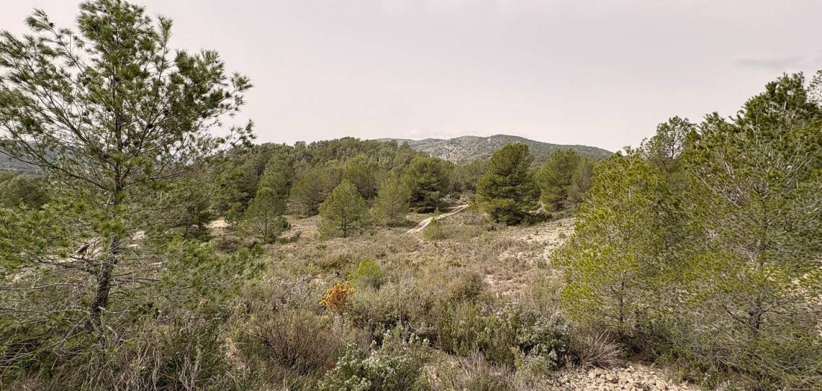 Revente - Land - Petrer