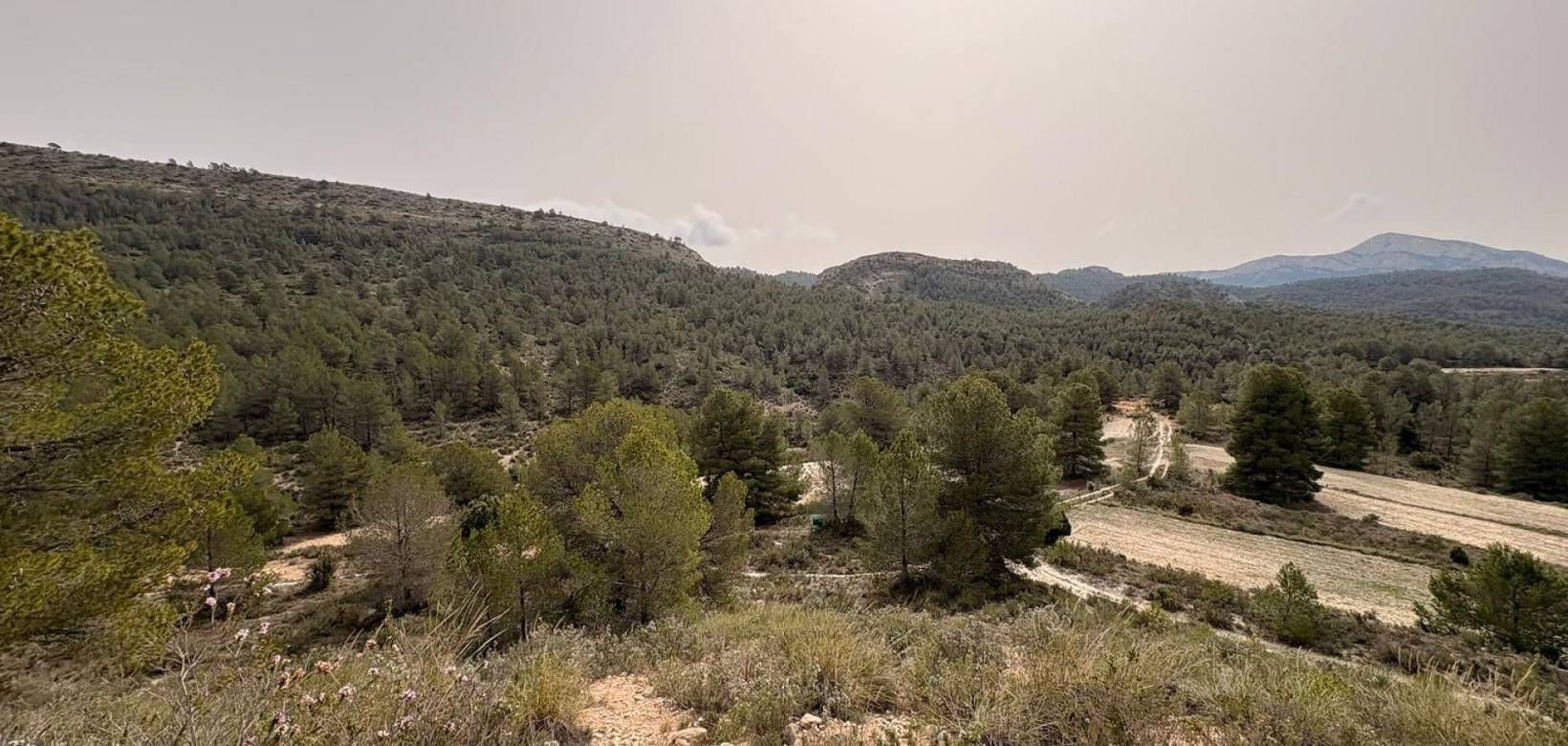 Revente - Land - Petrer