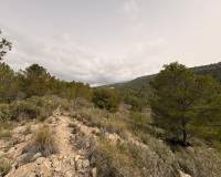 Revente - Land - Petrer