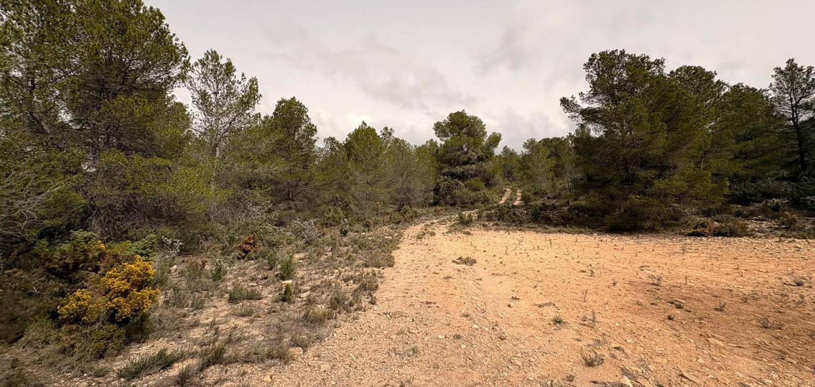 Revente - Land - Petrer