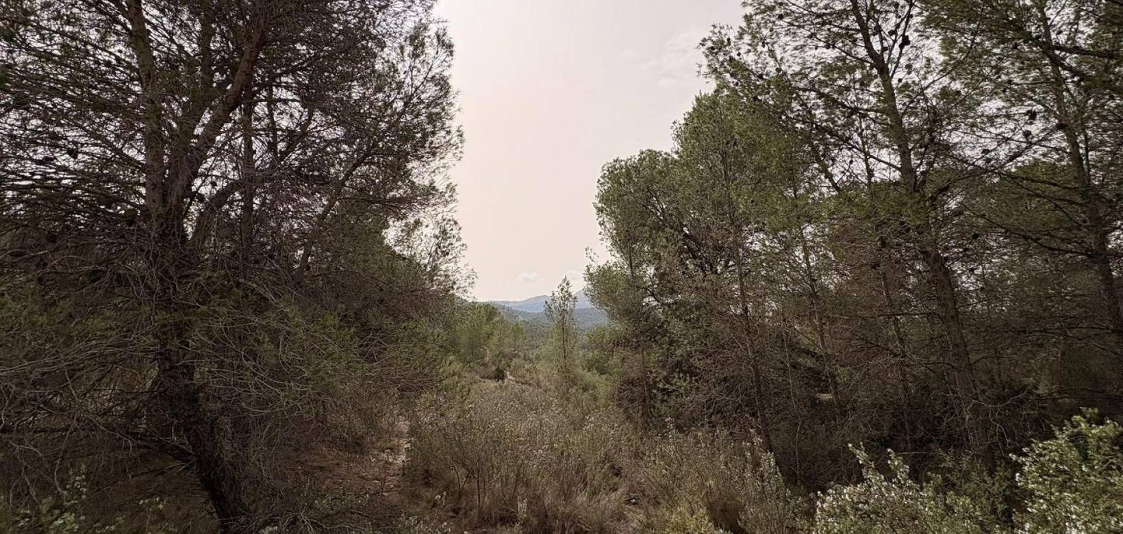 Revente - Land - Petrer