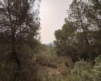 Revente - Land - Petrer