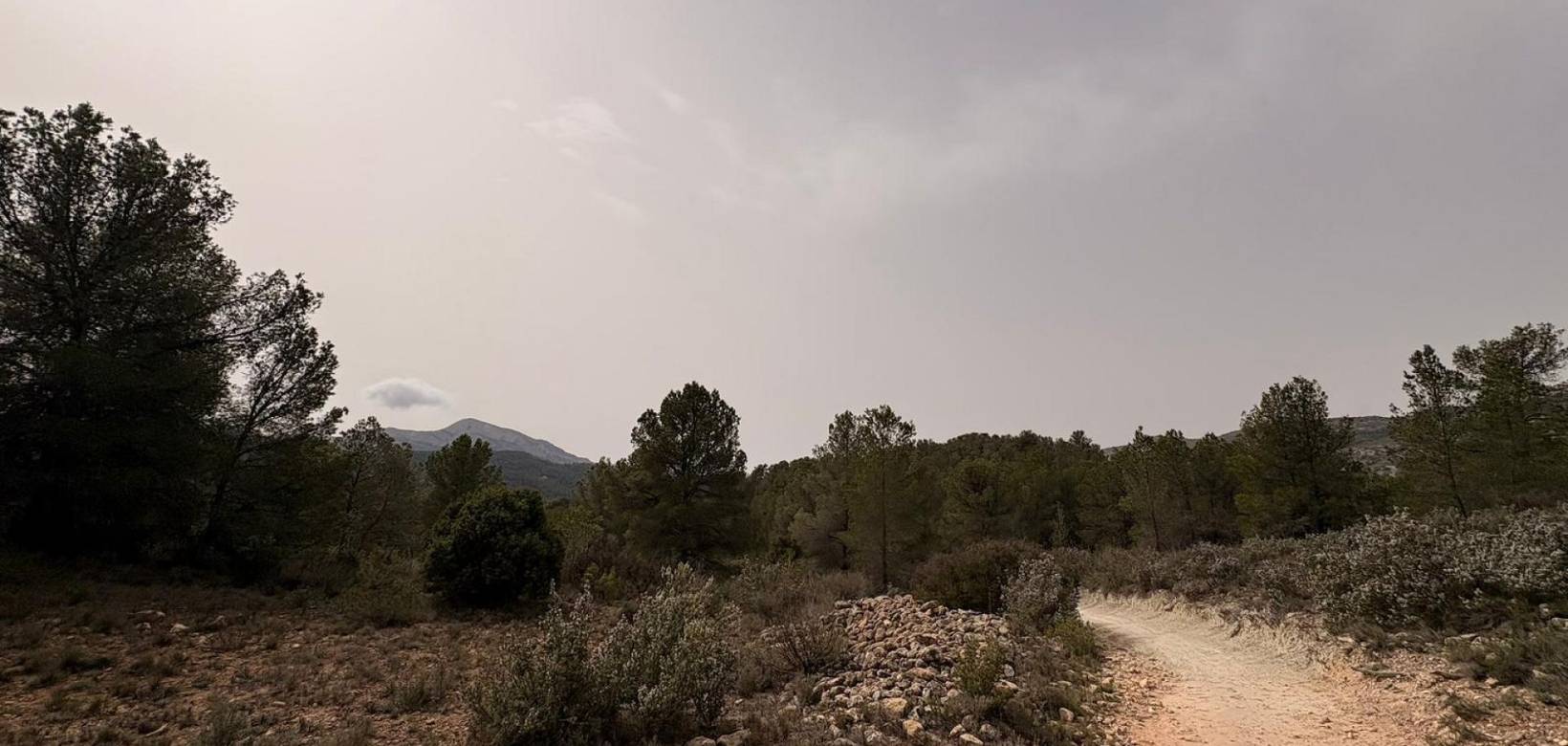 Revente - Land - Petrer