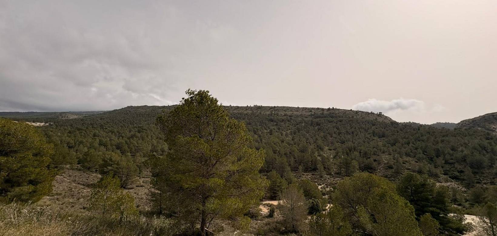 Revente - Land - Petrer