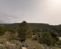 Revente - Land - Petrer