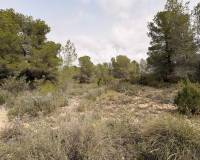 Revente - Land - Petrer