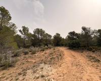 Revente - Land - Petrer