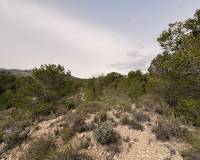 Revente - Land - Petrer