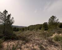 Revente - Land - Petrer