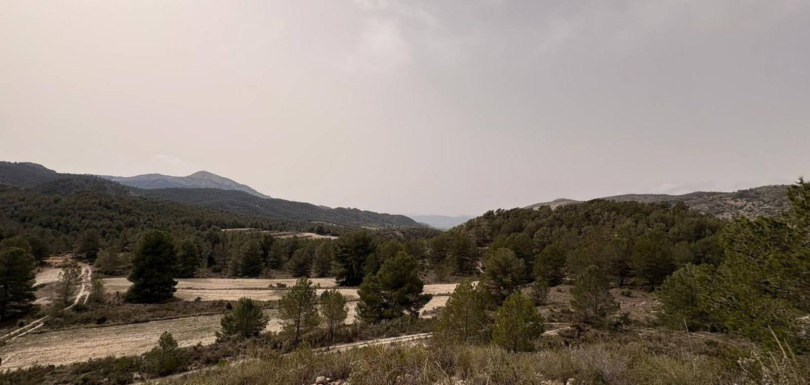 Revente - Land - Petrer