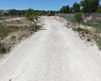 Revente - Land - Pinoso  - Pinoso