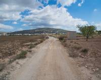 Revente - Land - Pinoso  - Pinoso
