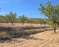 Revente - Land - Salinas