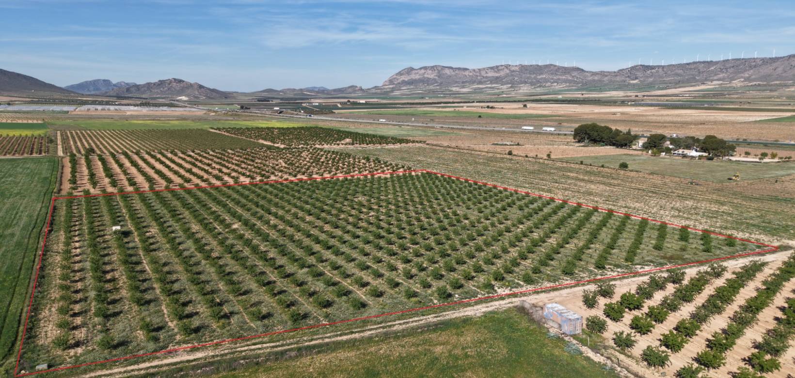 Revente - Land - Yecla - Yecla Murcia