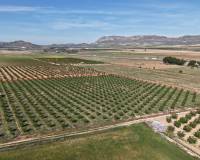 Revente - Land - Yecla - Yecla Murcia