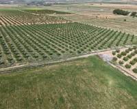Revente - Land - Yecla - Yecla Murcia
