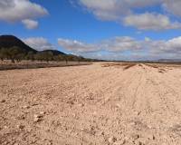 Revente - Land - Yecla