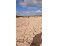 Revente - Land - Yecla