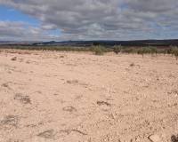 Revente - Land - Yecla