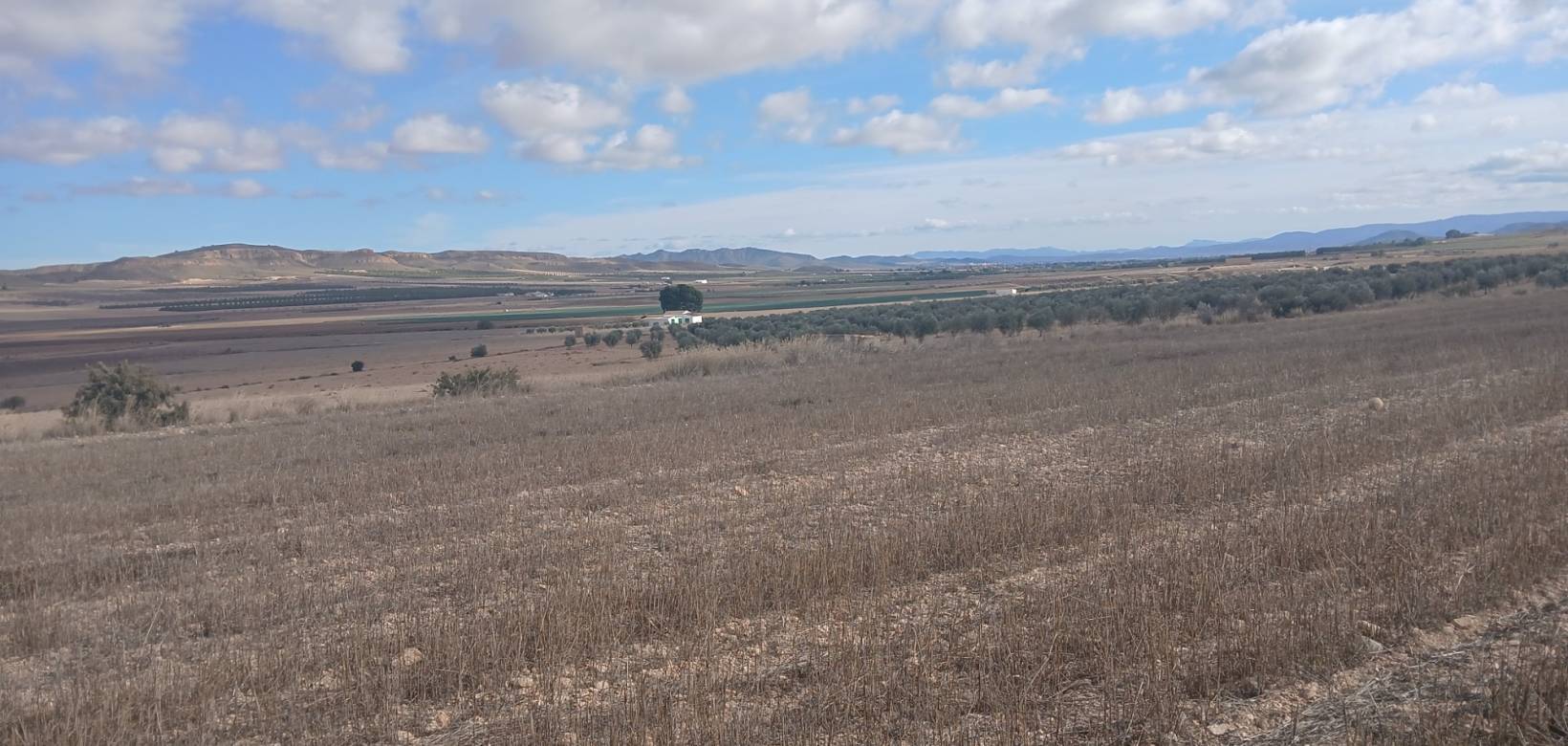 Revente - Land - Yecla