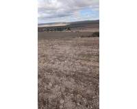 Revente - Land - Yecla