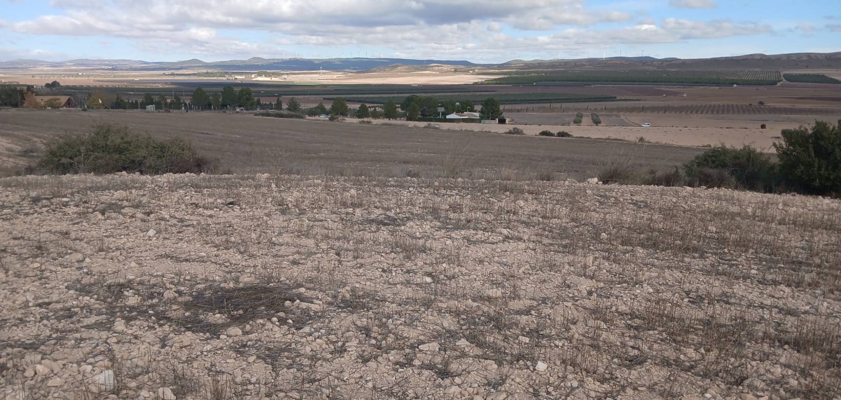 Revente - Land - Yecla