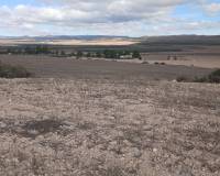 Revente - Land - Yecla