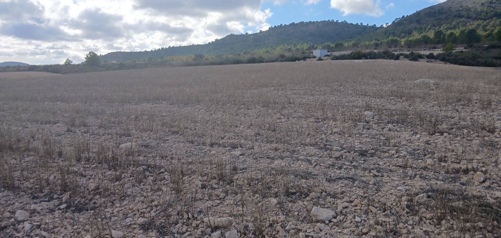 Revente - Land - Yecla