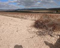 Revente - Land - Yecla