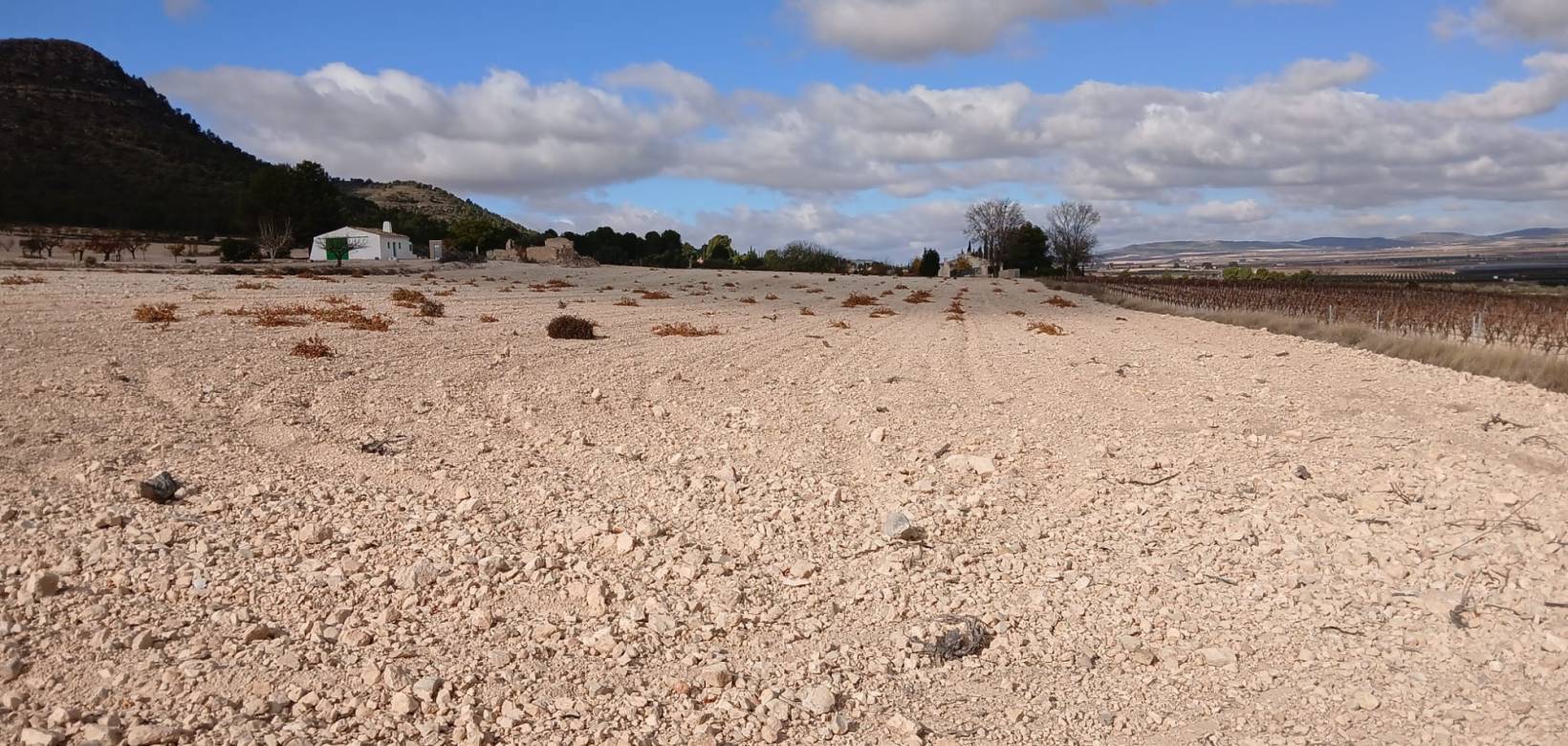 Revente - Land - Yecla