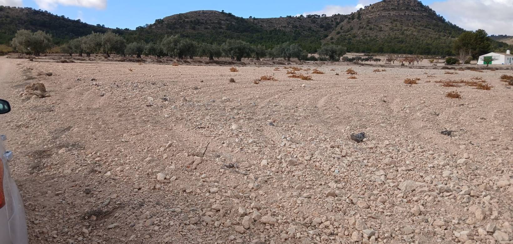 Revente - Land - Yecla