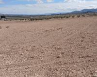 Revente - Land - Yecla