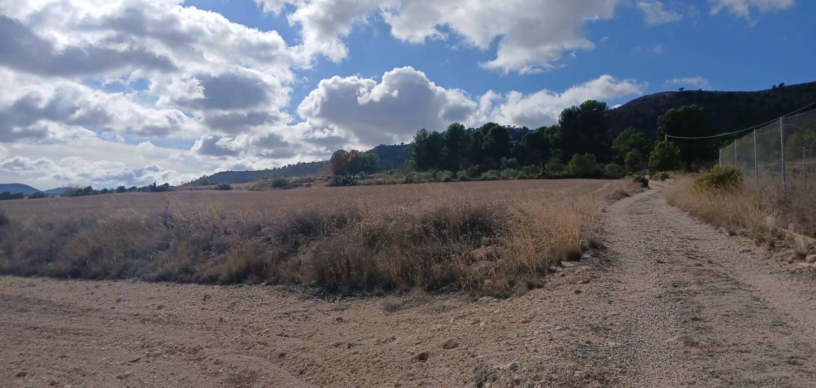 Revente - Land - Yecla