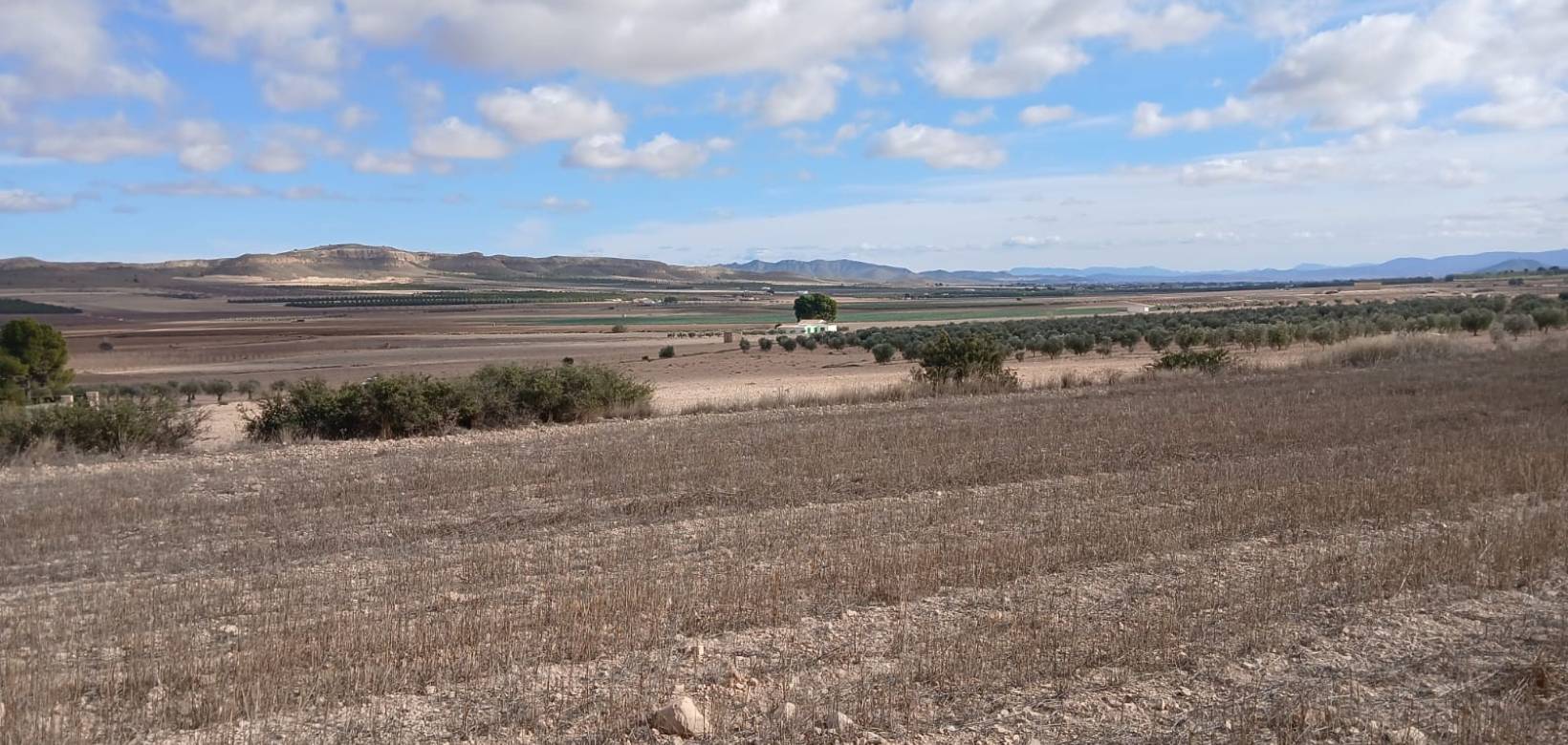 Revente - Land - Yecla