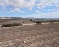 Revente - Land - Yecla