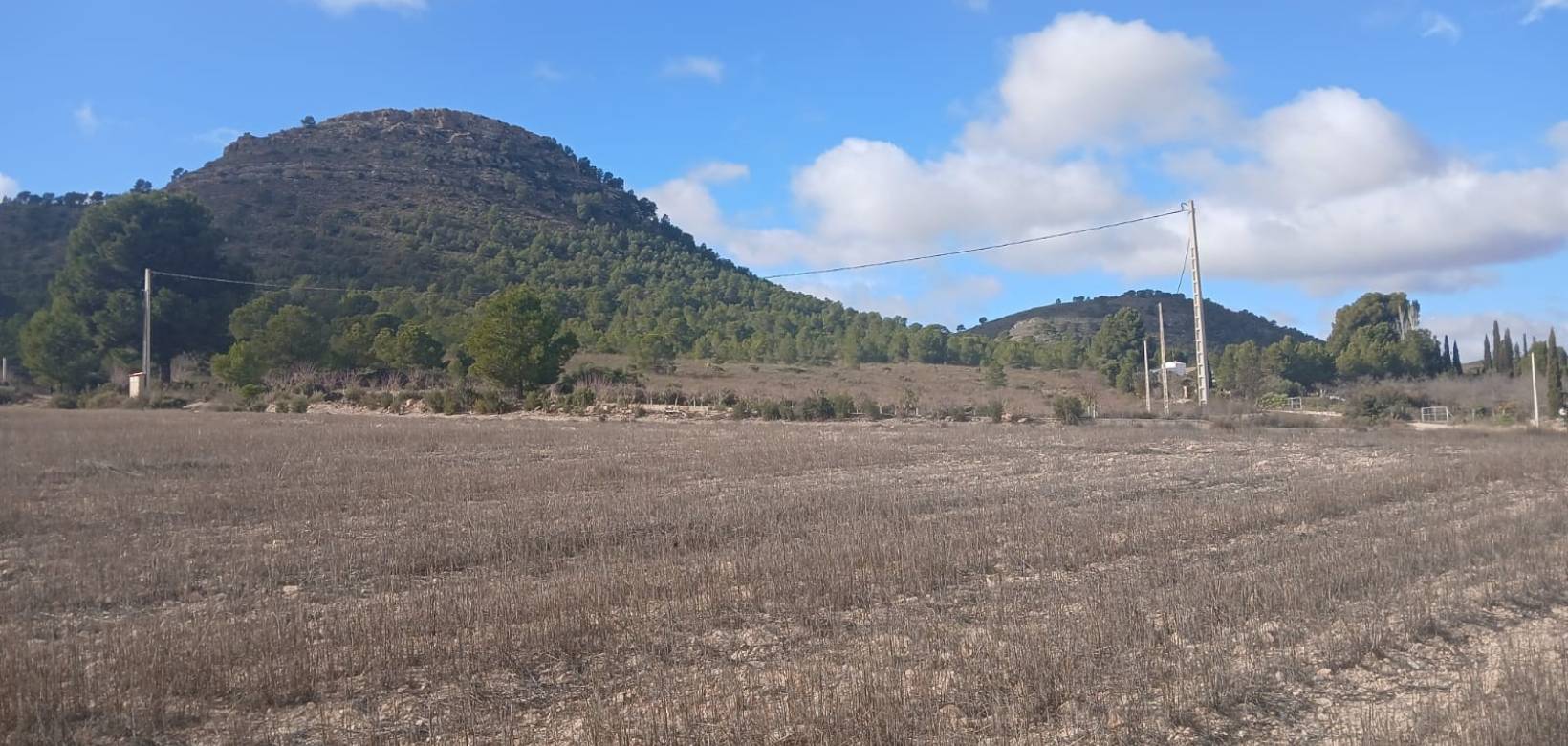 Revente - Land - Yecla